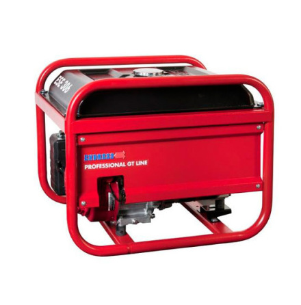 Bensinelverk ENDRESS Professional GT Line ESE 306 HS-GT