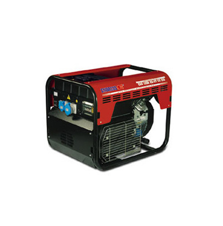 Bensinelverk ENDRESS Professional GT Line ESE 1206 DHS-GT ES